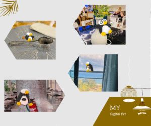 Read more about the article My Digital Pet