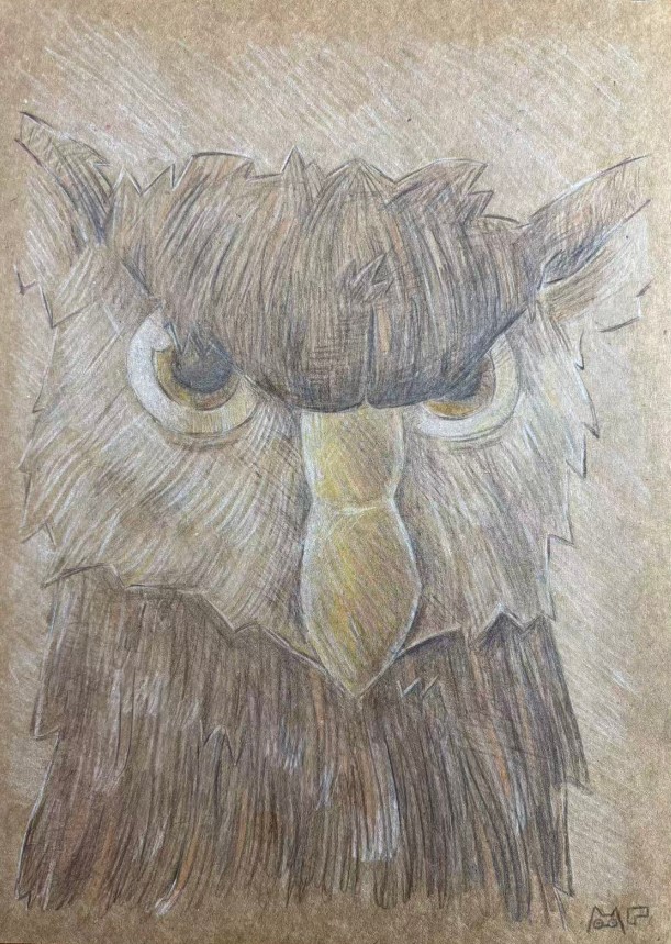 Read more about the article Owl