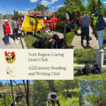 Community Clean-up in My Neighborhood